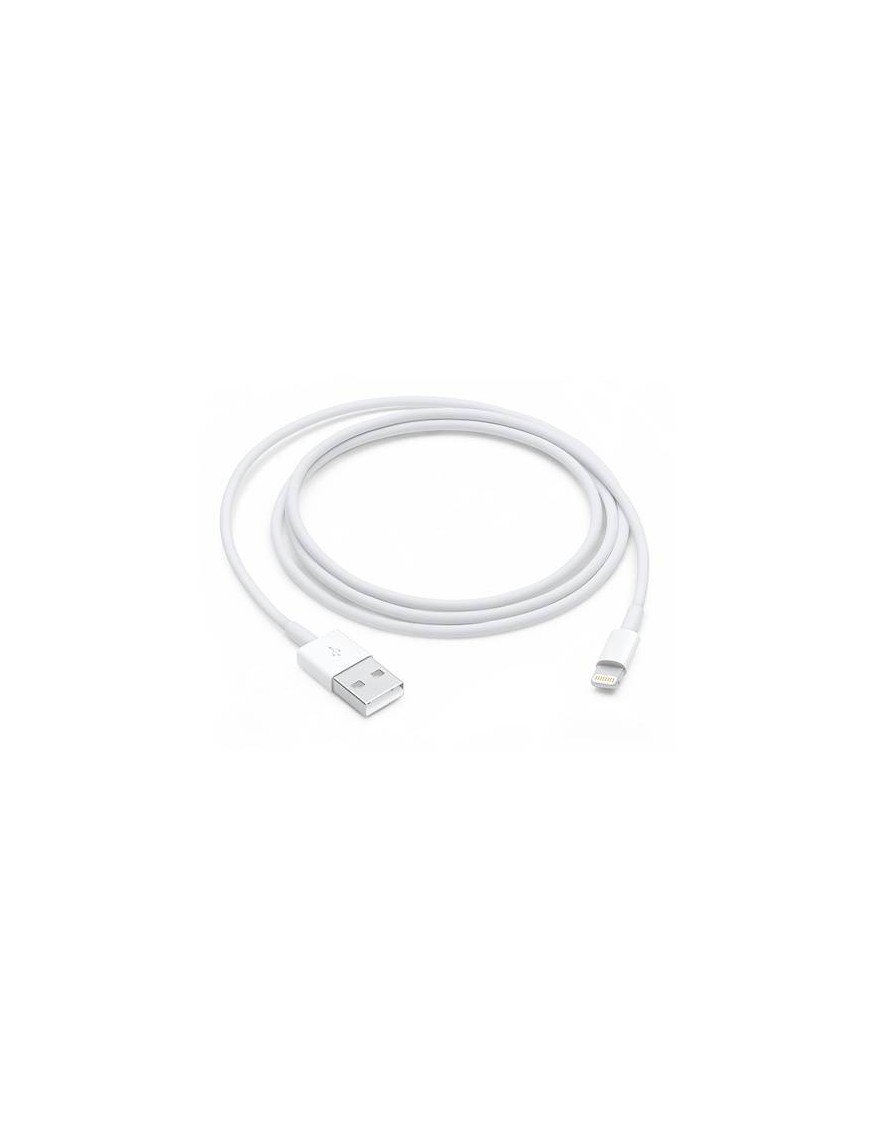 Cable Apple USB Lightning 1m