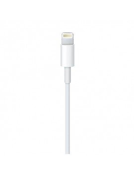Apple USB Lightning 2m Cable